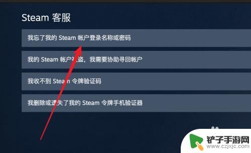 steam不能改密码怎么办 Steam忘记密码重置步骤