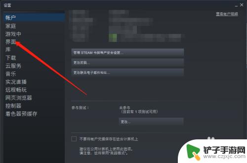 steam设置启动项 全屏 在Steam中如何设置以大屏幕启动游戏