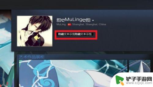 steam怎么发隐藏文本 Steam 个人资料界面 如何 添加 隐藏 文本