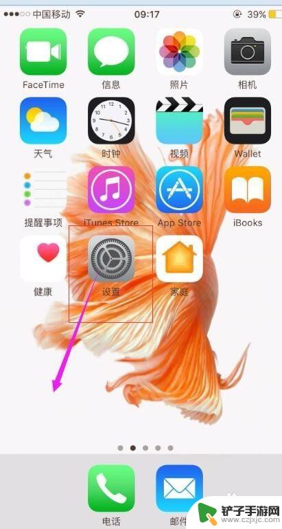 苹果手机内存在哪里查询 iPhone苹果手机如何查看剩余内存容量