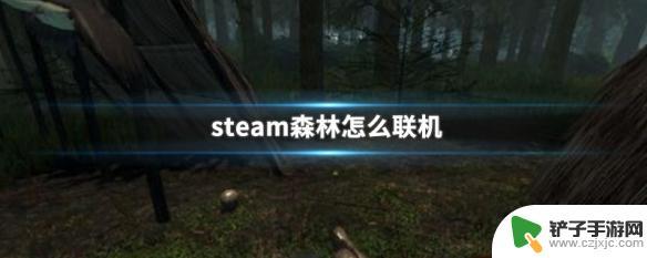 正版森林steam联机教程 Steam森林联机模式操作指南