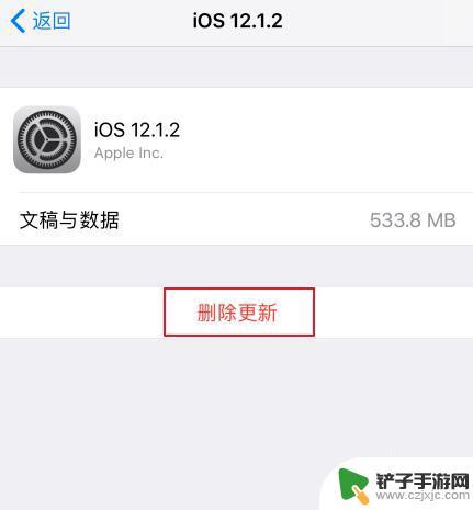 iphone小红点怎么消除 iOS 更新屏蔽方法