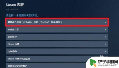 steam怎么看自己消费记录 如何在STEAM上查看自己的消费历史