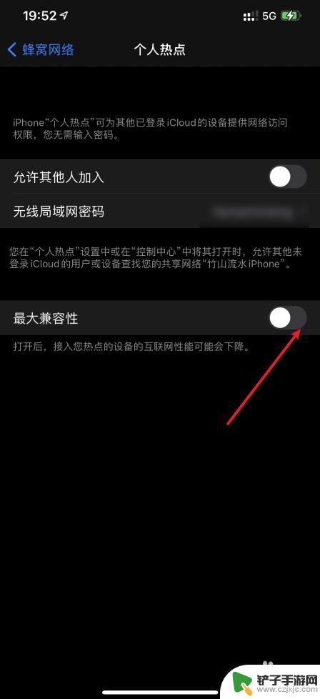 苹果手机怎么开最大兼容性 iPhone12promax最大兼容性如何设置