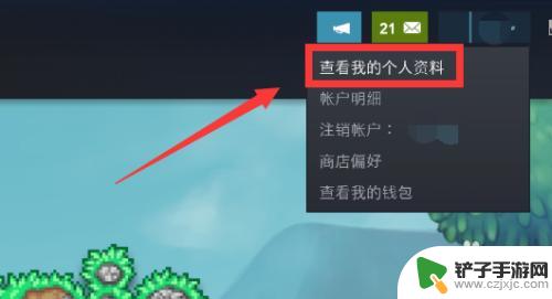 steam最新动态怎么隐藏 steam怎样隐藏个人动态