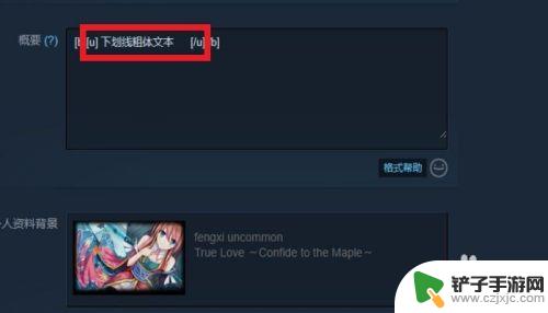 steam文字框 STEAM 个人资料界面 文本字体效果