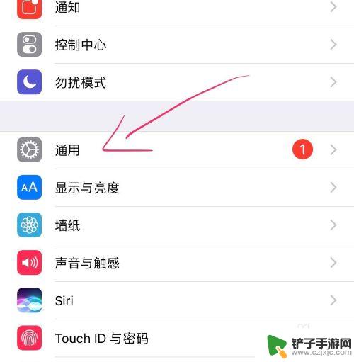 iphone手机电话闪光灯怎么设置 iPhone手机来电时闪灯怎么开启教程