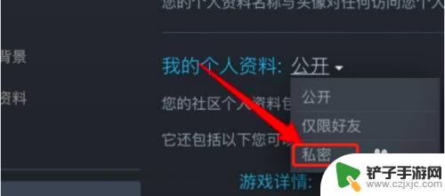 在steam隐藏动态 怎样在Steam中隐藏我的游戏动态