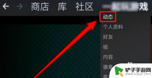 在steam隐藏动态 怎样在Steam中隐藏我的游戏动态