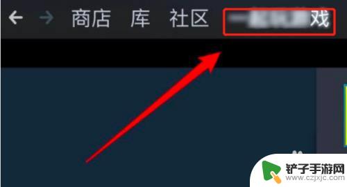 在steam隐藏动态 怎样在Steam中隐藏我的游戏动态