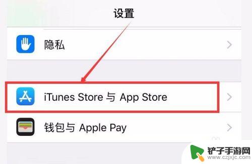 苹果手机怎么取消软件更新 如何关闭iPhone上应用的自动更新功能