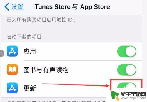 苹果手机怎么取消软件更新 如何关闭iPhone上应用的自动更新功能