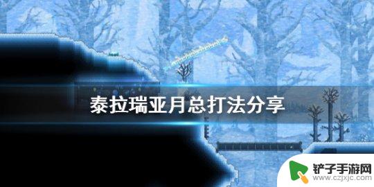 泰拉瑞亚用什么打专家月总 《泰拉瑞亚》月亮领主打法攻略