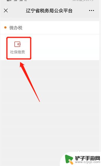 辽宁社保在手机上怎么缴费 辽宁社保网上缴费流程是怎样的