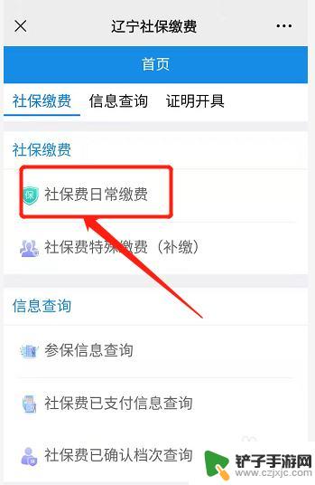 辽宁社保在手机上怎么缴费 辽宁社保网上缴费流程是怎样的