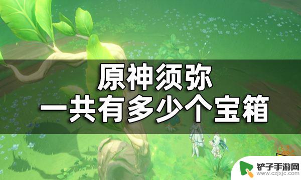 老刘原神攻略组须弥 原神须弥宝箱位置图