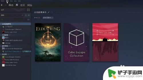 steam完美达成游戏怎么显示 Steam上的隐藏游戏如何显示