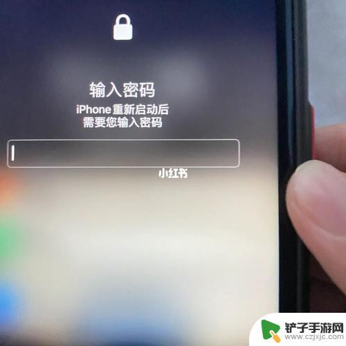 苹果手机开机密码输入不进去 iPhone 语音控制后无法输入开机密码怎么办