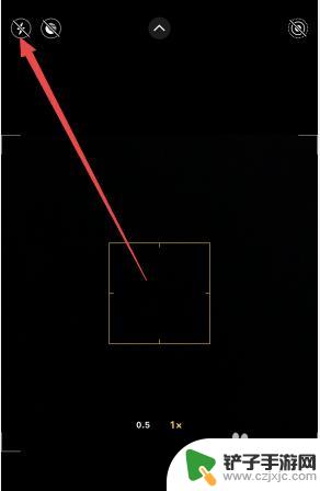 苹果手机拍照开启闪光灯 苹果手机拍照时怎么打开闪光灯