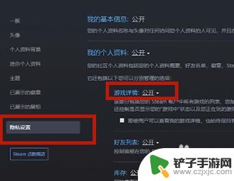 steam可以隐藏某款游戏吗 在Steam上如何隐藏正在玩的游戏