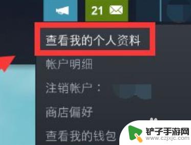 steam可以隐藏某款游戏吗 在Steam上如何隐藏正在玩的游戏