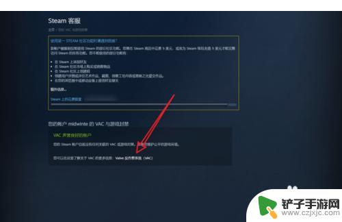 steam账号被封禁 Steam游戏被VAC封禁怎么办