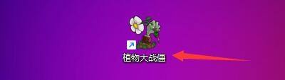 植物大战僵尸怎么3d加速 如何在植物大战僵尸软件中开启3D加速模式