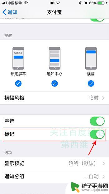 如何取消手机标记的数字 iPhone苹果手机应用图标红色数字标记如何取消