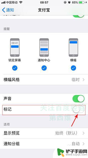 如何取消手机标记的数字 iPhone苹果手机应用图标红色数字标记如何取消