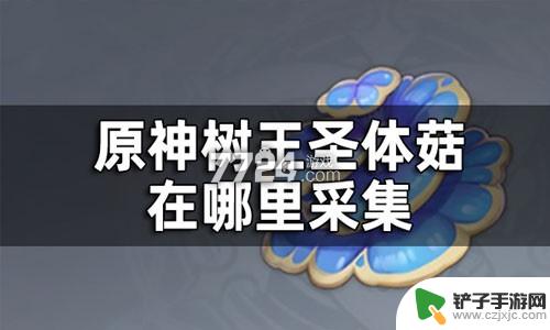 原神大王圣体菇 原神树王圣体菇怎么快速收集