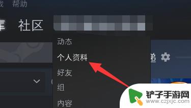 steam信息公开 如何公开全部steam资料