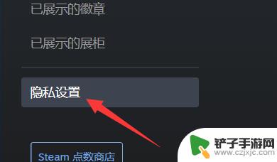 steam信息公开 如何公开全部steam资料