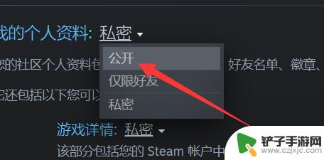 steam信息公开 如何公开全部steam资料