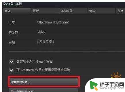 steam dota2国服启动 Dota2 国服启动项设置方法