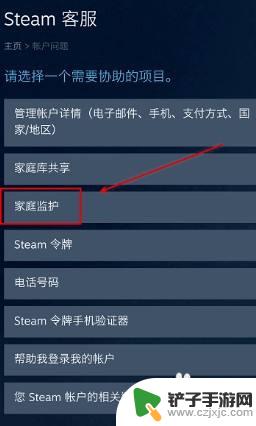 steam锁帐号 Steam账号如何进行自我锁定