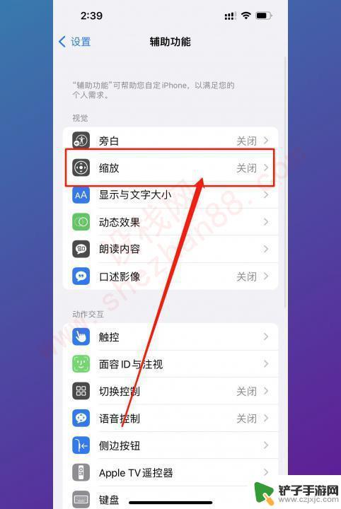 iphone局部放大镜怎么关 苹果手机放大镜如何关闭