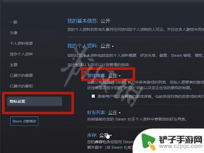 如何不让好友知道steam在线 Steam如何隐藏游戏不让好友看到