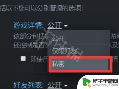 如何不让好友知道steam在线 Steam如何隐藏游戏不让好友看到