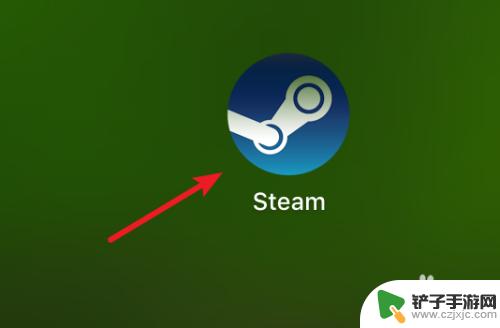 steam里的游戏要怎么买 Steam市场游戏库存道具购买攻略